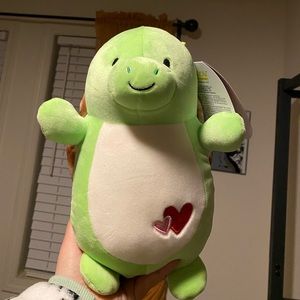 10” Hugmees Antoni the Turtle